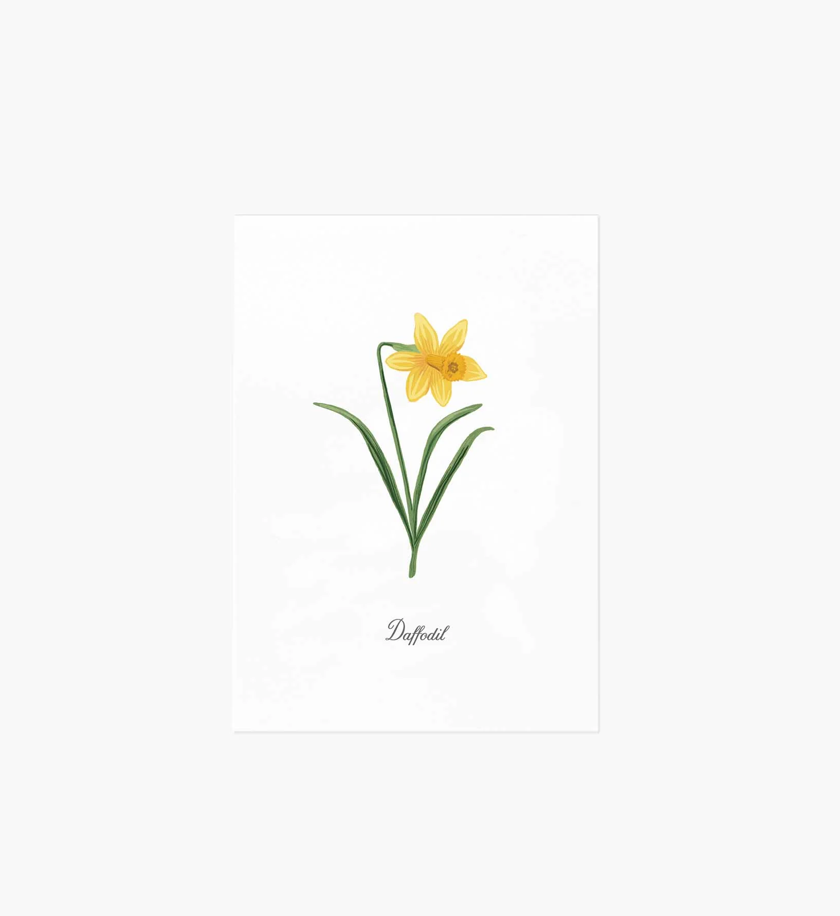 Birth Month Art Print - March