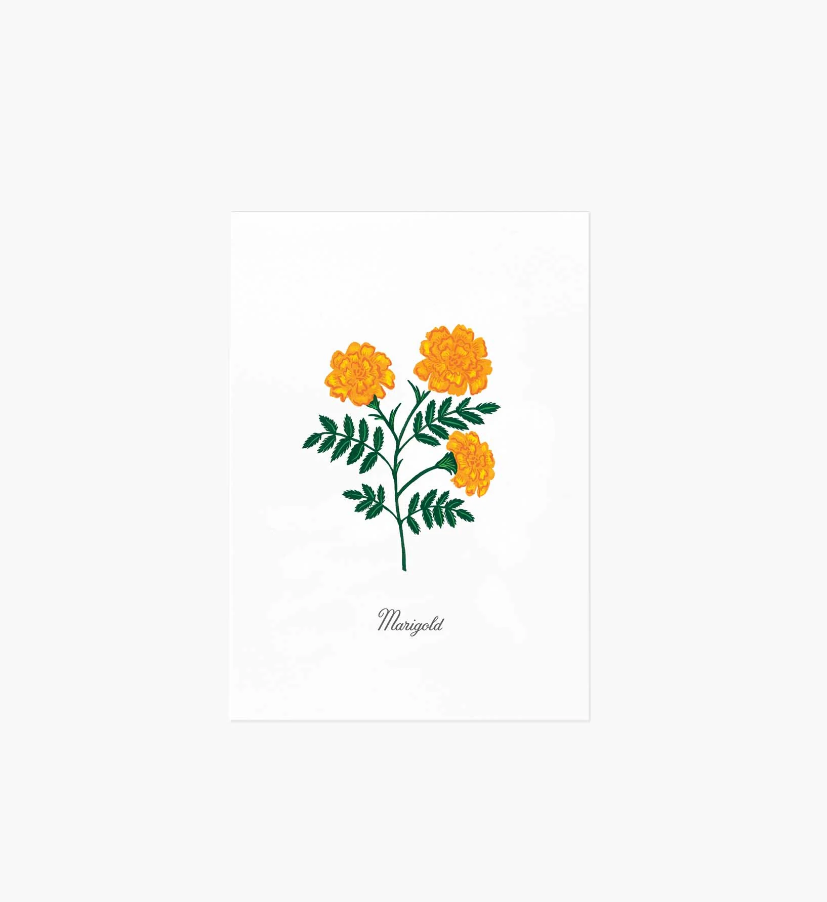 Birth Month Art Print - October
