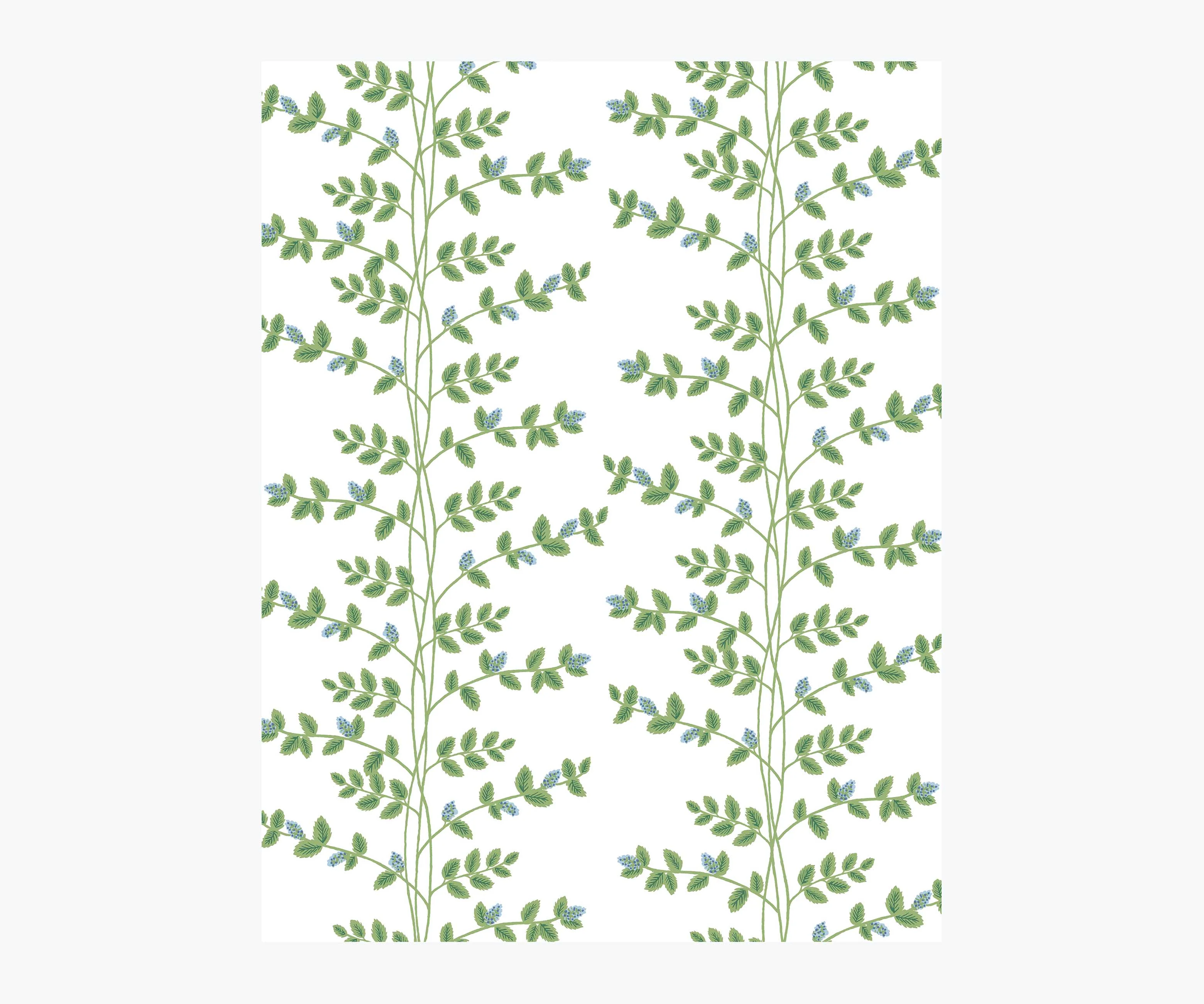 Climbing Vines Wallpaper Sample - White & Blue