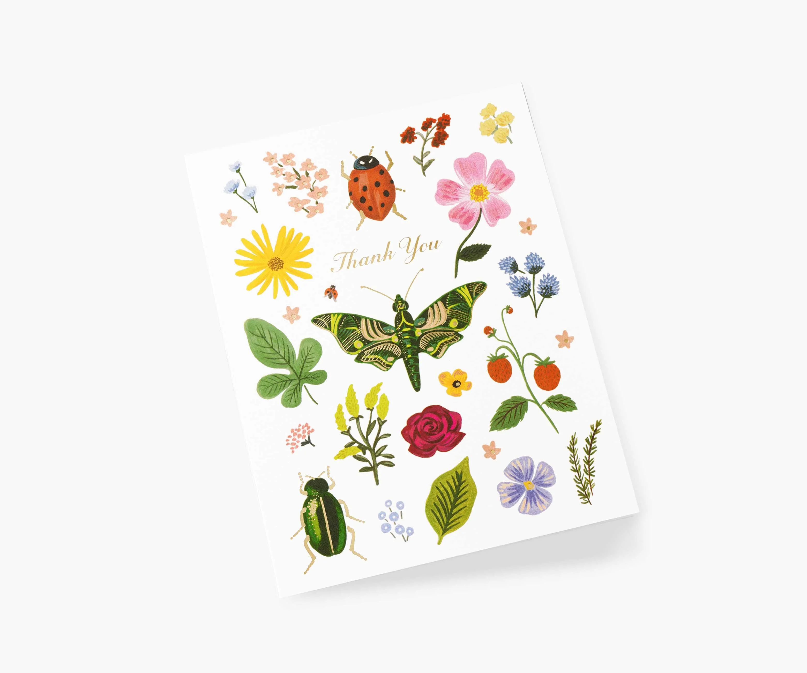 Curio Thank You Cards - Boxed Set - Image 2
