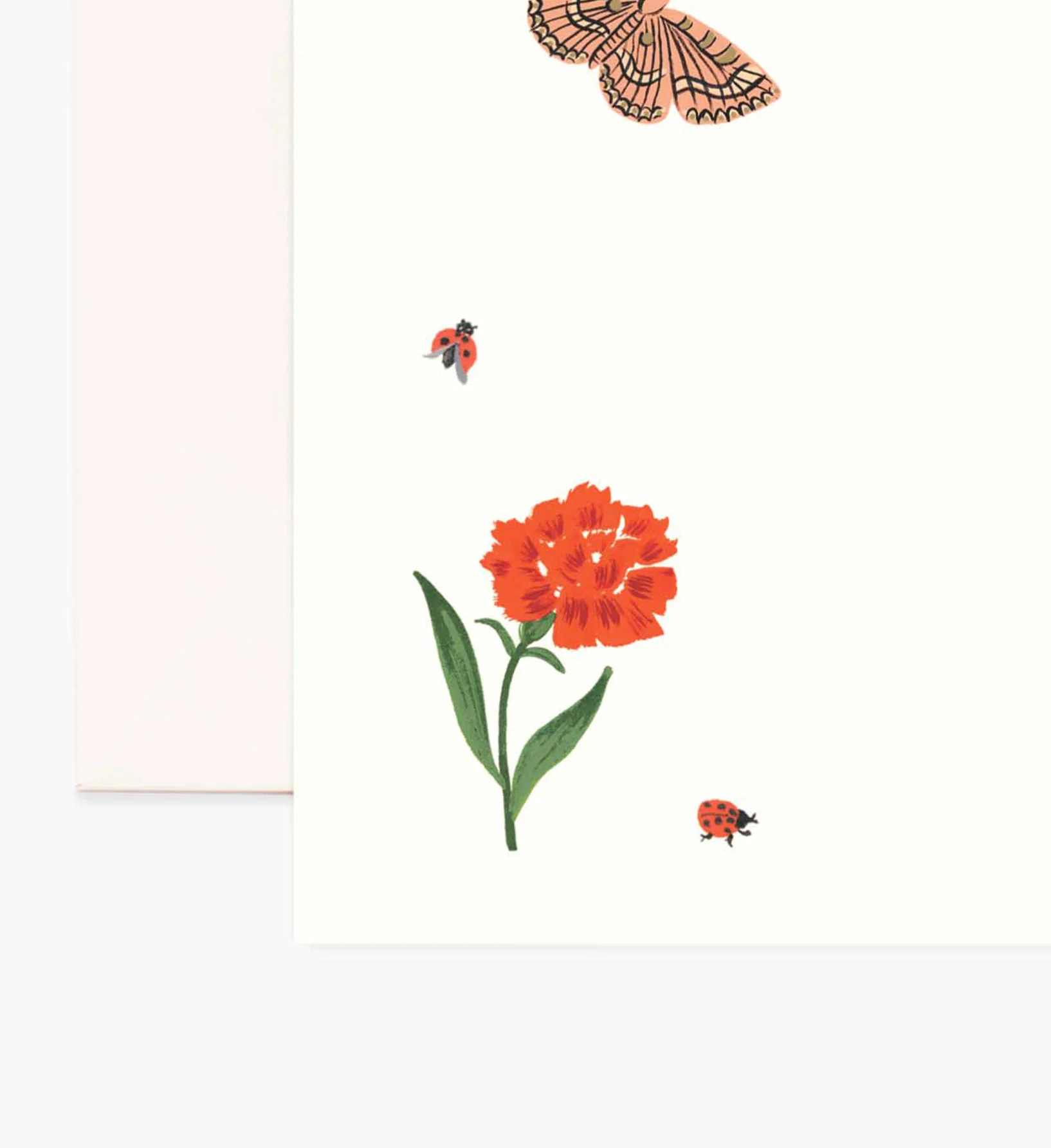 Everyday Personalized Stationery - Curio - Image 2