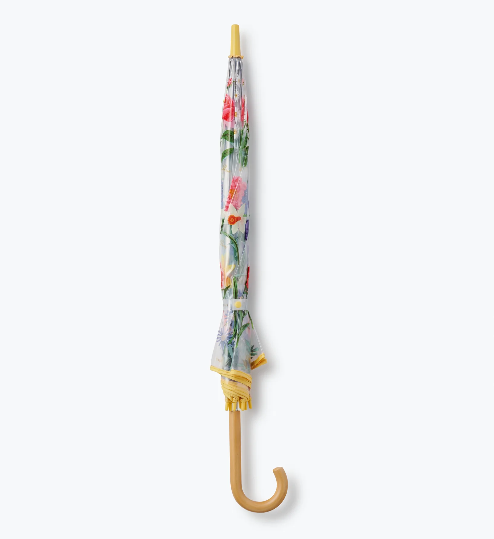 Umbrella - Garden Study - Image 4
