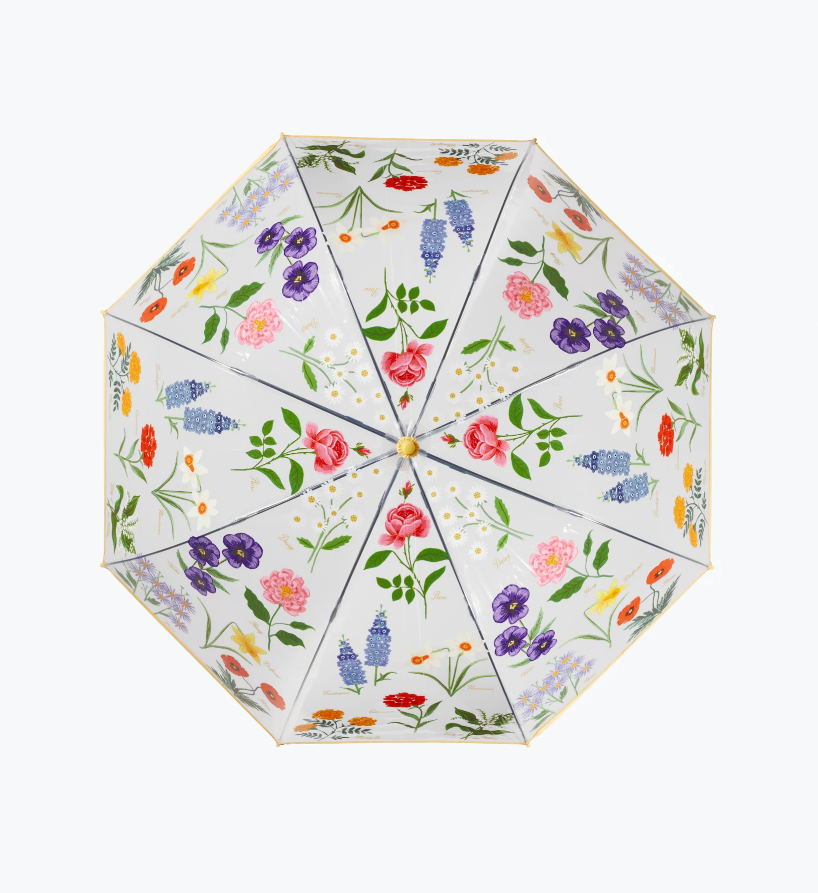 Umbrella - Garden Study - Image 5